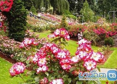 باغ رز یکی از جاذبه های گردشگری هندوستان است باغ رز یکی از جاذبه های گردشگری هندوستان است