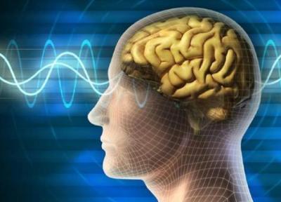 جوان نگه داشتن مغز با یک روش ساده! جوان نگه داشتن مغز با یک روش ساده!